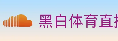 黑白体育直播 logo